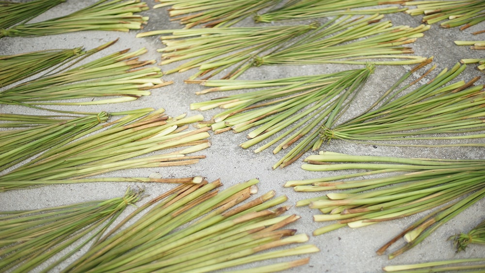 Water Hyacinth Weaving - Unique Handmade Crafts | Swadesh Online