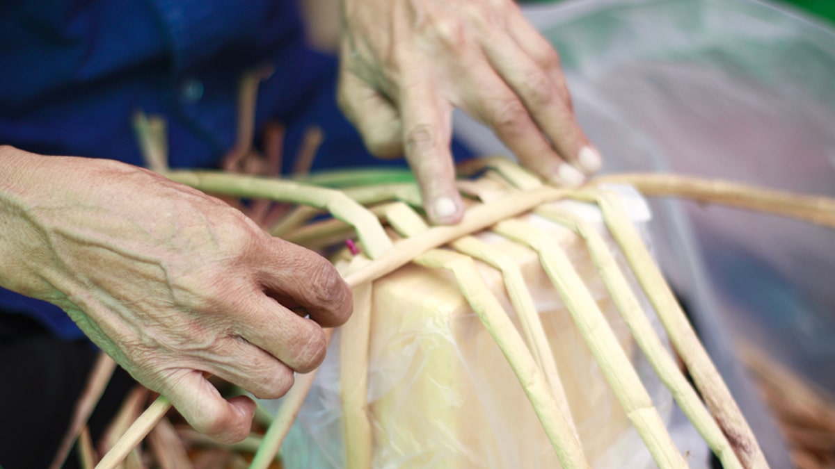Water Hyacinth Weaving - Unique Handmade Crafts | Swadesh Online