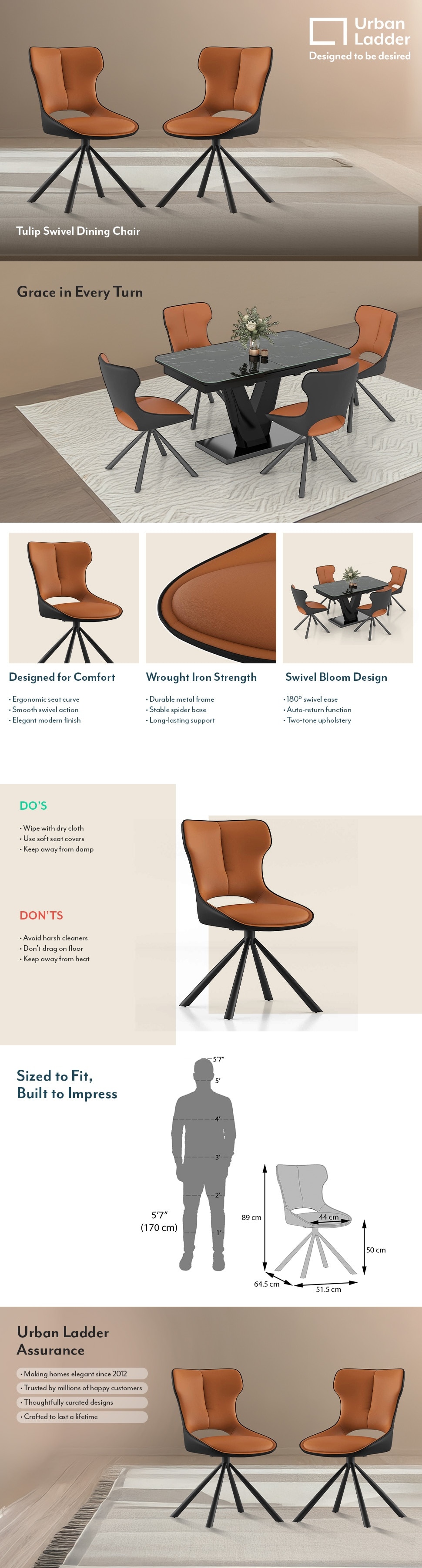 Tulip Metal Dining Chair in Dual Tone Colour