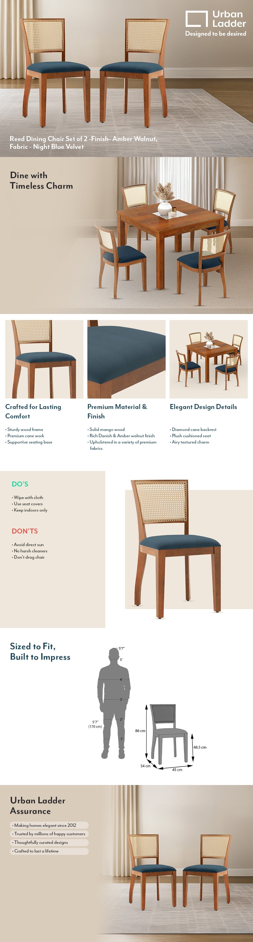 Reed Solid Wood Dining Chair in Amber Walnut Finish &amp; Night Blue Velvet Colour - Set of 2