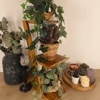 Lyric 3 Tier Shelf & Planter