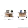 Hexa Engineered Wood Coffee Table With Metal Legs In Giant Wood And Frosty White