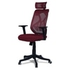 Zeeazyana High Back Ergonomic Chair in Maroon Colour
