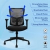 Ignis Mid Back Mesh Office Chair in Black Colour