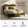 Elaris Curve Comfort Queen Size Bed in velvet With Engineer Wood Frame & Hydraulic Storage