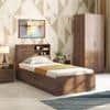 Amy Engineered Wood Single Size Box Storage Bed In Classic Walnut Finish