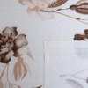 White Floral 400 Tc Cotton Flat Super King Size Bedsheet With 2 Pillow Cover