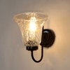 Devansh Metal Electric Wall Light in black Colour with Transparent Shade Count of 1 Light