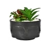 Artificial Succelent Arrangement With Black Planter