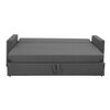 Akron 3 Pull Out Sofa Cum Bed In Dark grey Colour