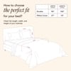 Stoa Paris Comforter for Double Bed, 300TC Premium Satin mium Champagne & Pink