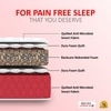 Bone Zone with Rebotech Tech  Mattress (72 x 66 in, 8 Inches)