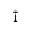 Mira Vintage Multicolor Shade Table lamp with Iron Base