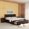 Diamond Solid Wood Queen  Size Bed With Drawer & Box Storage (Walnut Finish)