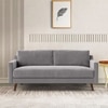 Reiti Velvet 2 Seater Sofa in Grey Colour