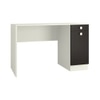 Celestia Study Desk with Shuttered Cabinet and Drawer in Carbon Black Colour