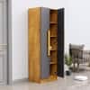 Hexa Red Wooden 2 Door Wardrobe with 4 Shelves in Giant Wood and Slate Grey Colour