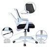 Xeanea Mid Back Ergonomic Chair in Black Colour