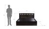 Erinnyes Engineered Wood Queen  Size Bed With Box Storage (Walnut Finish)
