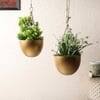 Hanging Capsule Planter Set Of 2 In Gold Colour