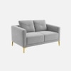 Arab Velvet 2 Seater Sofa Grey Color