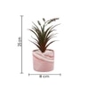 Attractive Faux Plant With Pink Ceramic Pot