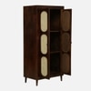 Selvian Solid Wood  Tall Cabinet In Tobacco Colour