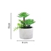 Artificial Succulent Indoor Plant With Ceramic Pot