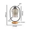Devansh Multicolor Glass Wooden & Iron  Table Lamp -17 Inch Height  -Apl
