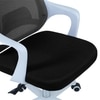 Xeanea Mid Back Ergonomic Chair in Black Colour