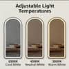 The Artment Black Halo Arch Unbreakable Floor Mirror For Home (160 X 50 CM)