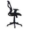 Zeeazyana Mid Back Ergonomic Chair in Black Colour
