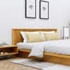 Hexa Engineered Wood Modern King Bed With Headboard Without Storage In Giant Wood