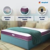 Sleepwell Orthopedic, Anti Microbial, Medium Firm Support 5 inch Single Memory Foam Mattress (L x W: 78 inch x 36 inch)