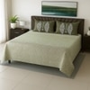 Multicolor Green Shade Abstract 400 TC Cotton Flat Super King Size Bedsheet With 2 Pilllow Covers