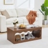 Coffee Table With Storage