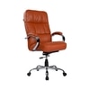 Adiko Puffy Director Chair In Tan