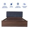 Japa Engineered Wood Queen  Size Bed With Box Storage (Walnut Finish)