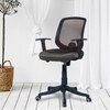 Xxeana Low Back Ergonomic Chair in Black Colour