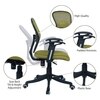Aaeroa Low Back Ergonomic Chair in Pearl Green Colour