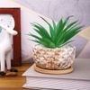Artificial Fern Plant In A Patterned Ceramic Pot With A Wooden Plate