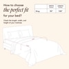 Stoa Paris Satin Comforter Set for King Size Bed 300TC Premium Bedding Aqua Carnival