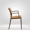 Kepler Brooks Zen Cafeteria Dining Chair With Arms in Brown Colour
