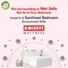 Zone Magno Pocket Pro Spring Mattress (75 x 48 in, 10 Inches)