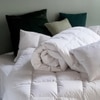 Oliva Duvet Medium 220 X 240