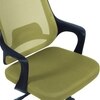 Ddeasirea Mid Back Ergonomic Chair in Pearl Green Colour