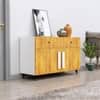 Hexa Red Multipurpose Storage Cabinet With 2 Drawer 2 Door in Frosty White And Giant Wood Colour