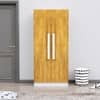 Hexa Red Wooden 2 Door Wardrobe with 4 Shelves in Frosty White and Giant Wood Colour