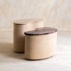 Chip and Dale Solid Wood Coffee Table Set of Two in Black Colour