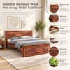 Stainfleld Solid Wood Queen  Size Bed Without Storage (Teak Finish)